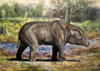 barytherium_1731406639.jpg